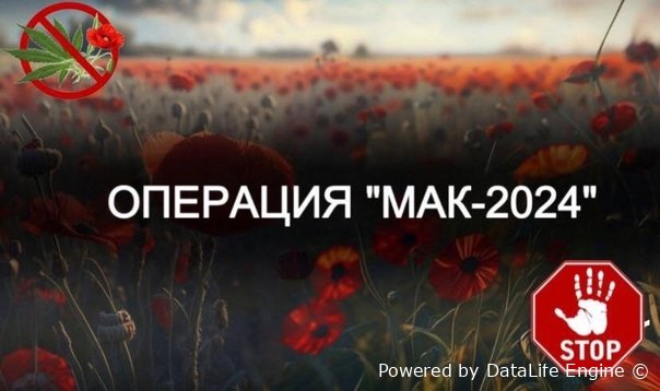 Операция "МАК-2024"