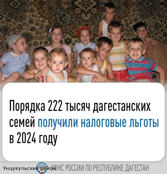 Порядка 222 тыс Дагестанских семей получили налоговые льготы в 2024 году