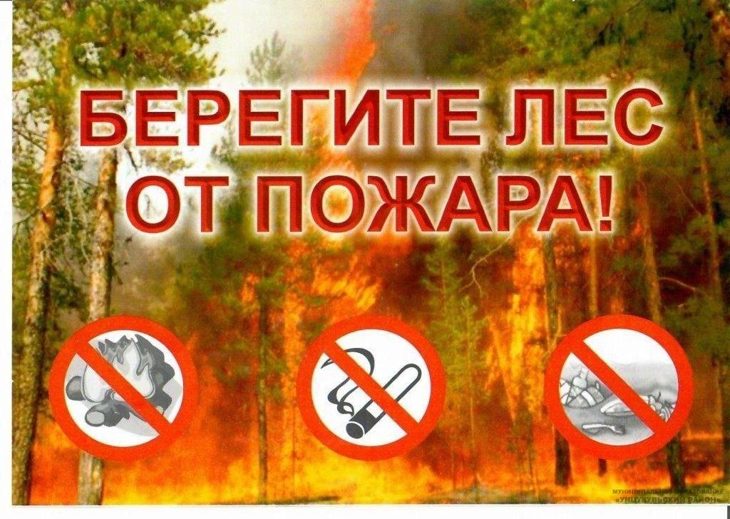 Берегите лес от пожара!